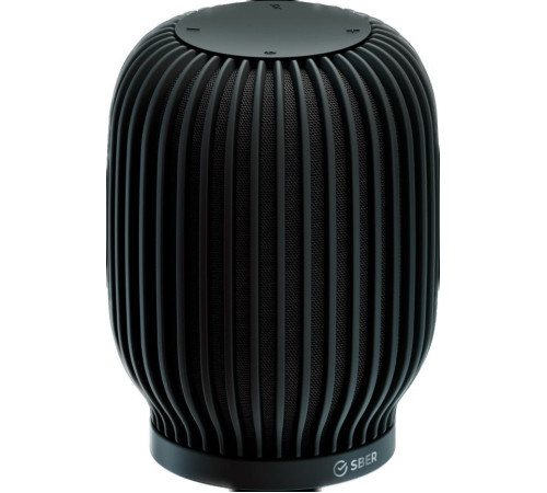 Умная колонка Sber SberBoom черная материя