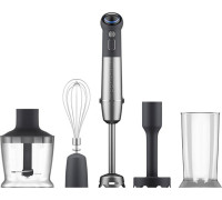 Погружной блендер Redmond Редмонд BH421 серый