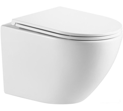 Унитаз подвесной WeltWasser Merzbach 043 GL-WT