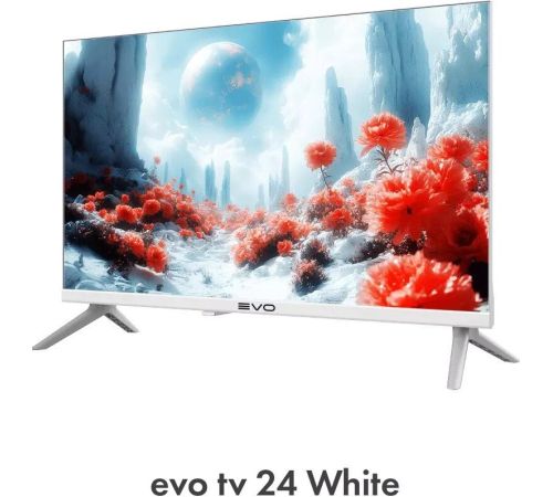 Телевизор Evo TV 24 White TD0051748RU