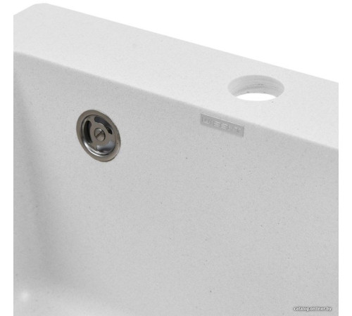 Кухонная мойка Wisent 420-28W с сифоном GER013