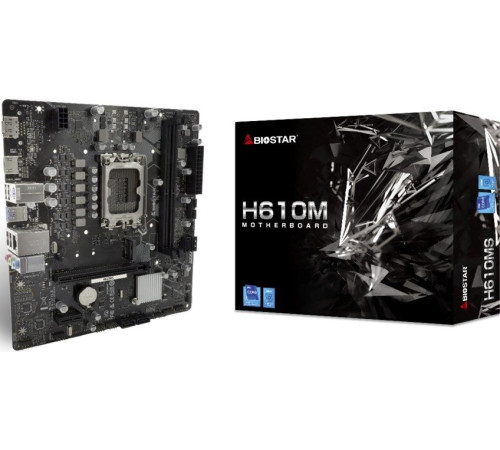 Материнская плата BIOSTAR H610MS Ver. 6.0