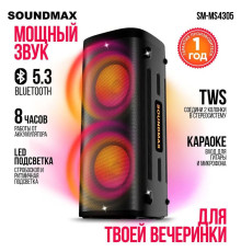 Патибокс Soundmax SM-MS4305