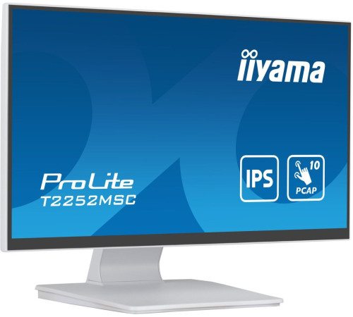 Монитор Iiyama ProLite T2252MSC-W2