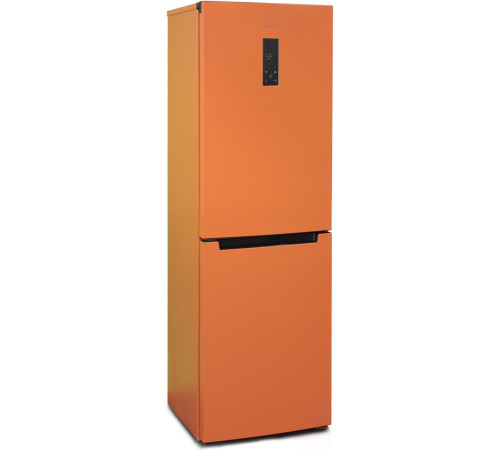 Холодильник Бирюса T940NF