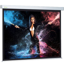 Проекционный экран CACTUS Wallscreen CS-PSW-168x299
