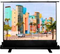 Проекционный экран CACTUS FloorExpert 120x160 CS-PSFLE-160х120