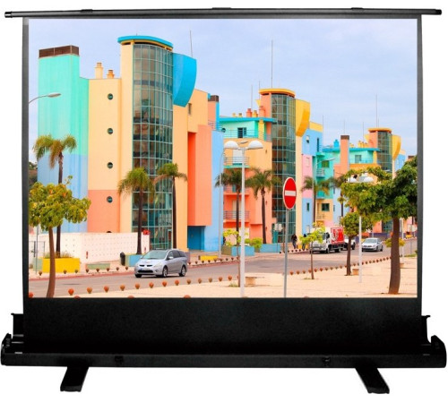 Проекционный экран CACTUS FloorExpert 120x160 CS-PSFLE-160х120