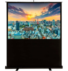 Проекционный экран CACTUS FloorCompactExpert 68x120 CS-PSFLCE-120X68