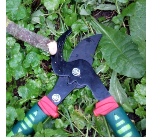 Сучкорез Verto 15G254