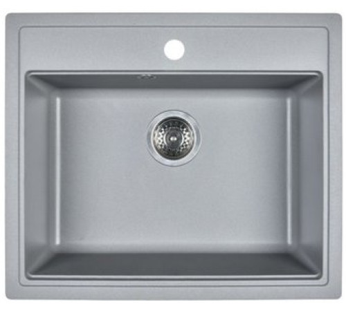 Кухонная мойка Wisent 600-29W с сифоном GER013