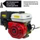Бензиновый двигатель Skiper N170FLSFT