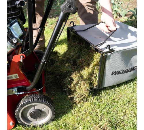 Скарификатор Weibang WB 384RB