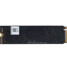 SSD Digma Run S9 256GB DGSR1256GS93T