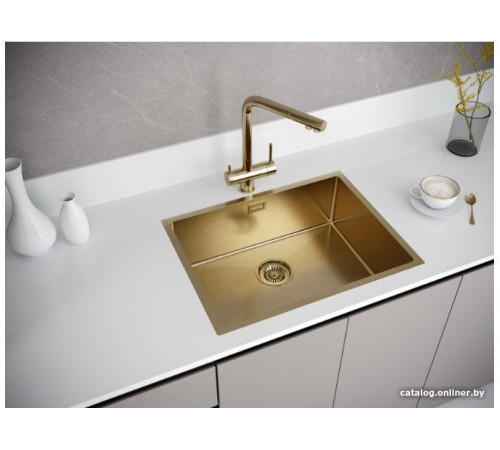 Кухонная мойка Paulmark Next 58 Uni PM215844-BG золото/брашированное золото