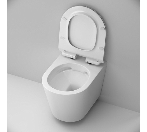 Унитаз подвесной AM.PM Sunny Flashclean C85C1701SC с сиденьем