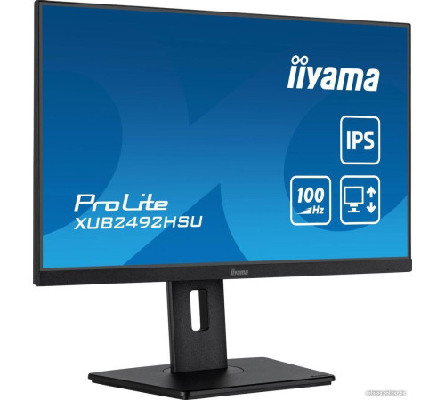 Монитор Iiyama ProLite XUB2492HSU-B6