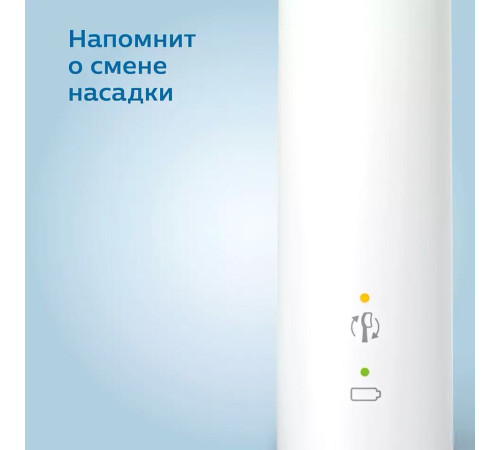Электрическая зубная щетка Philips 3100 series HX3673/13