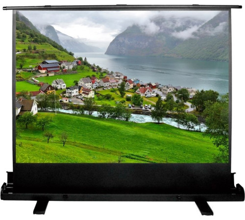 Проекционный экран CACTUS FloorExpert 102x180 CS-PSFLE-180X102