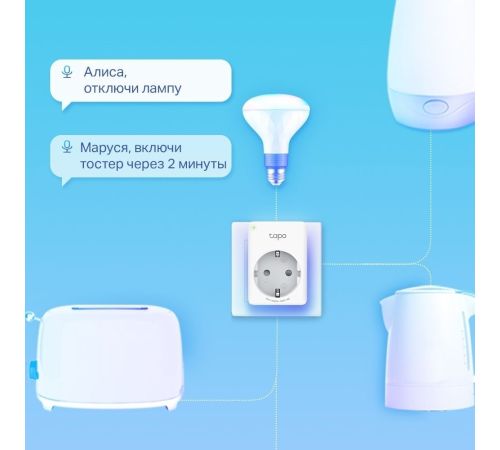 Умная розетка TP-Link Tapo P100 2 шт