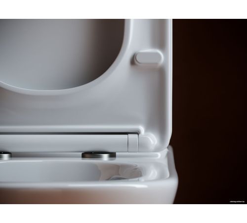 Унитаз напольный Ceramica Nova Alfa Rimless CN9002-B без бачка