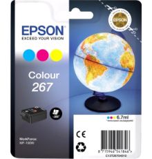 Картридж Epson C13T26704010