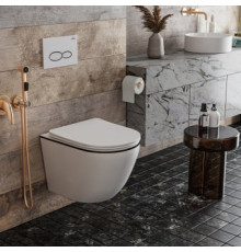 Унитаз подвесной Roxen Antares Black 530110-01B Rimless Soft Close