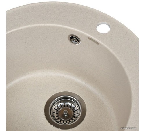 Кухонная мойка Wisent 510-30WR с сифоном GER013