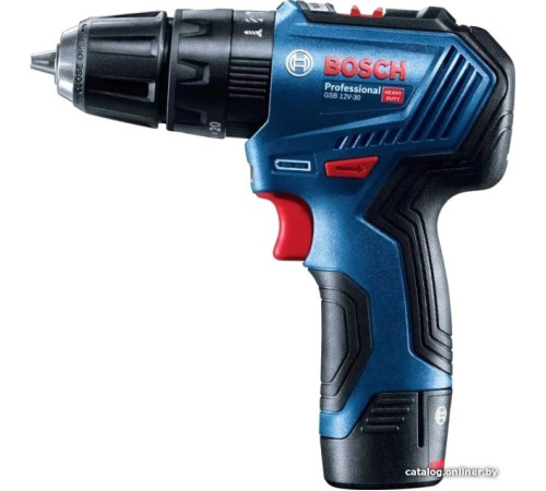 Ударная дрель-шуруповерт Bosch GSB 12V-30 Professional 06019G9100 с 2-мя АКБ, кейс