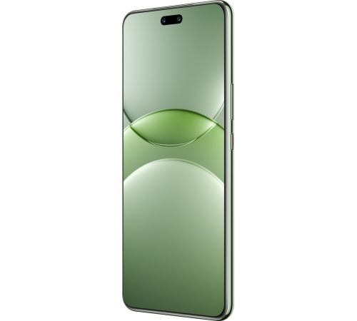 Телефон Huawei nova 13 Pro MIS-LX9 12GB/512GB дымчатый зеленый