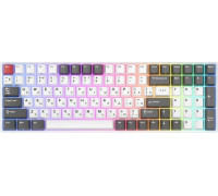 Клавиатура Royal Kludge RK100 RGB белый/серый, RK Red