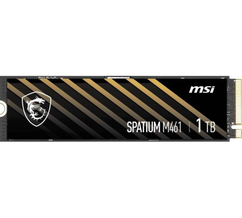 SSD MSI Spatium M461 1TB S78-440L1D0-P83