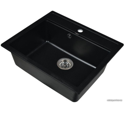 Кухонная мойка Wisent 600-25W с сифоном GER013