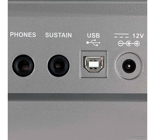 Синтезатор Medeli A100