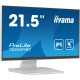Монитор Iiyama ProLite T2252MSC-W2