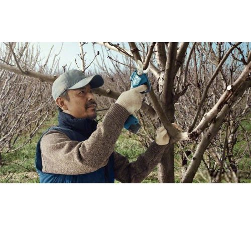 Секатор Bosch Pro Pruner Professional 06019K1021 с 2-мя АКБ
