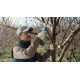 Секатор Bosch Pro Pruner Professional 06019K1021 с 2-мя АКБ