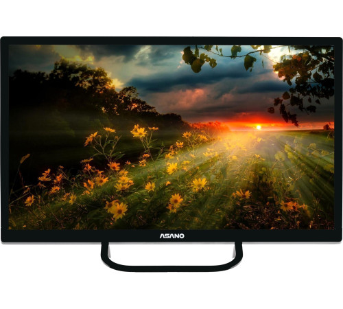 Телевизор ASANO 24LH1110T