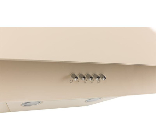 Кухонная вытяжка Making Oasis Everywhere NS-60I FR