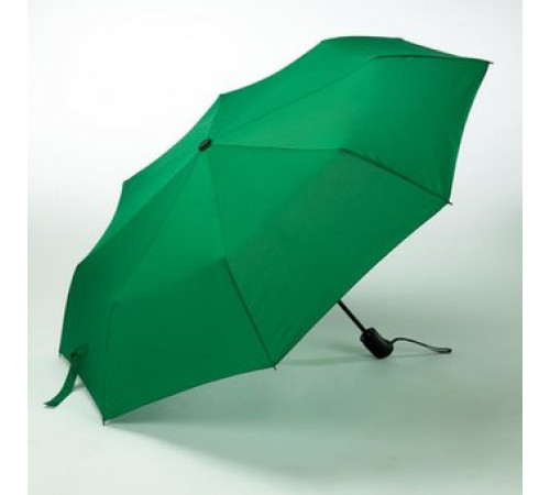 Складной зонт Colorissimo Cambridge US20 зеленый