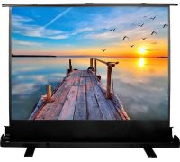 Проекционный экран CACTUS FloorExpert 113x200 CS-PSFLE-200X113