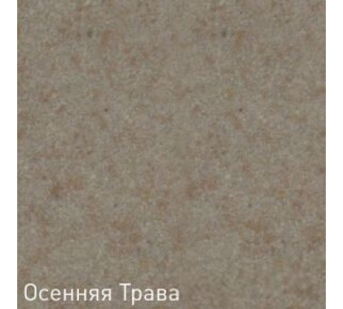 Кухонная мойка Zigmund & Shtain Platz 465 осенняя трава
