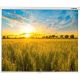 Проекционный экран Lumien Eco Picture 128x171 LEP-100112