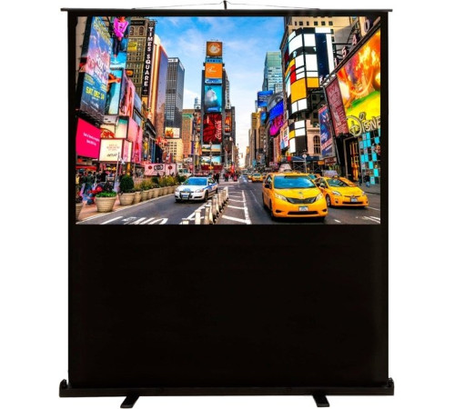 Проекционный экран CACTUS FloorCompactExpert 113x200 CS-PSFLCE-200X113