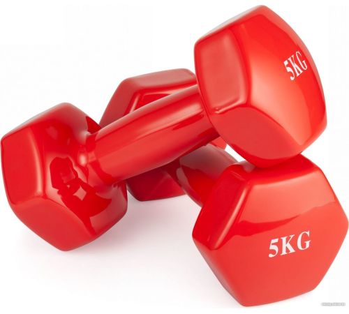 Гантель VictoryFit VF-DV050 5 кг
