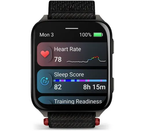 Умные часы Garmin Venu X1 титановый/черный