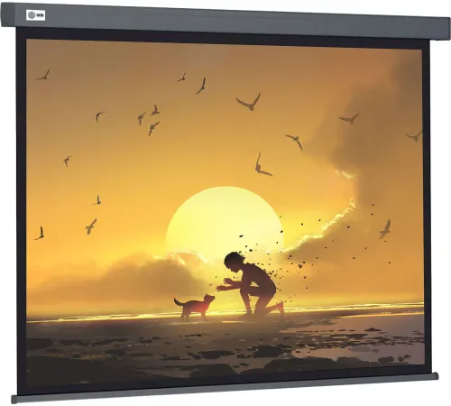 Проекционный экран CACTUS Wallscreen 124x221 CS-PSW-124X221-SG