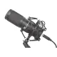 Микрофон Genesis Radium 400