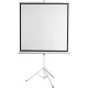 Проекционный экран Digis Kontur-D 178x139 DSKD-4302