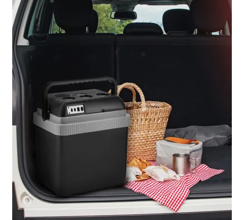 Термоэлектрический автохолодильник Coolfort CF-0233 25л черный